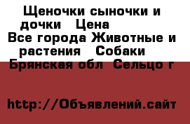 Щеночки-сыночки и дочки › Цена ­ 30 000 - Все города Животные и растения » Собаки   . Брянская обл.,Сельцо г.